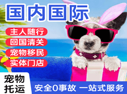 德宏芒市航空快运国际宠物托运 【国